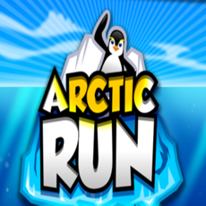 Activities of Arctic Run!