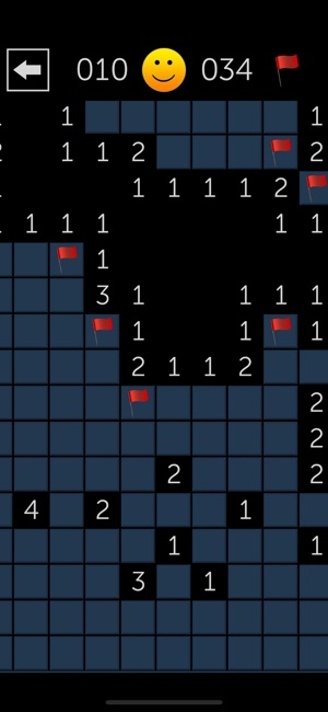 Minesweeper Fun