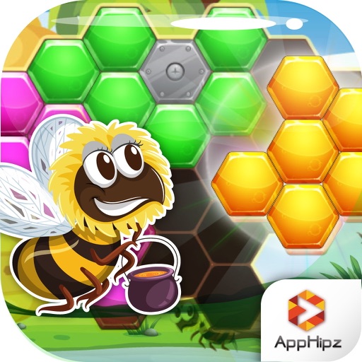 Honey Bee: Hexagon Hive Puzzle