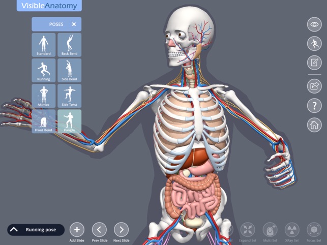 Visible Anatomy(圖3)-速報App