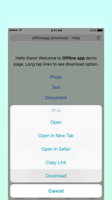 Offline Files & Web Browser screenshot 2