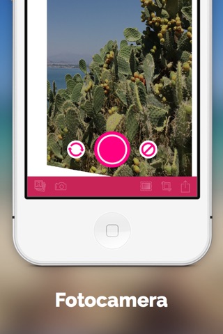 Photo Flipper - selfie mirror screenshot 4