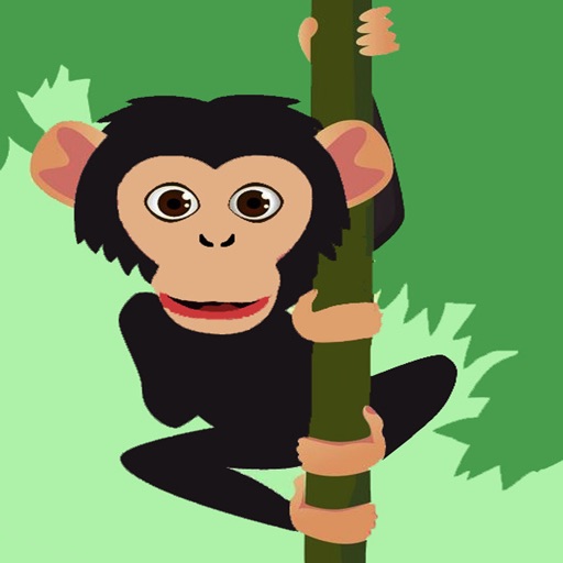 Puzzles Chimpanzee Page Jigsaw Learning Games