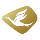 Goldenbird Corp