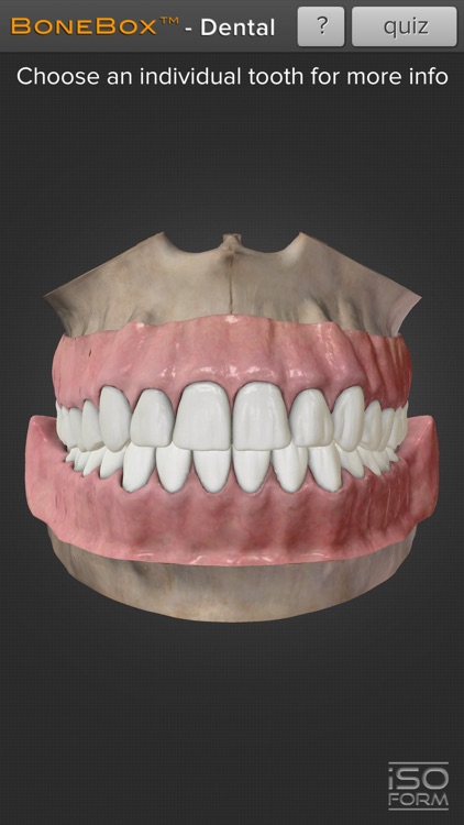 BoneBox™ - Dental Lite