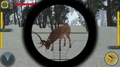 Safari Animal Hunting Pro 2017 screenshot 2