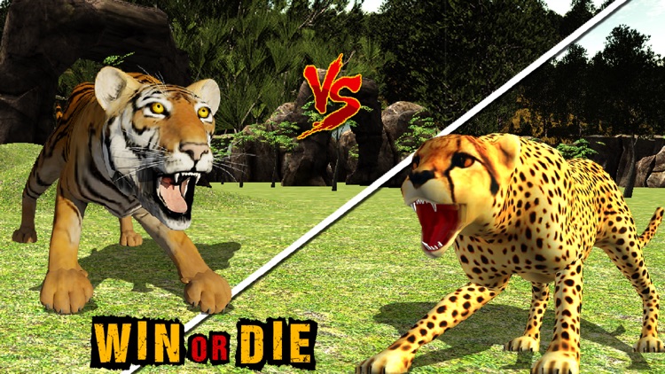 Wild African Cheetah Simulator