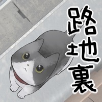 Escape game : Lost Cat Story pour PC