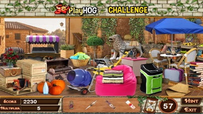 How to cancel & delete When in Rome Hidden Objects from iphone & ipad 1