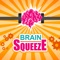 Icon Brain Squeeze 5 challenging brain testers puzzles