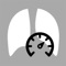 A collection of clinical calculation modules for values commonly encountered in thoracic imaging: