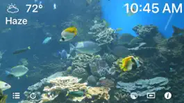 Game screenshot Aquarium 4K - Ultra HD Video mod apk