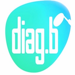 Diag.B