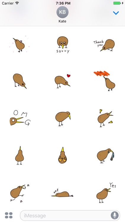 Kiwi The Lonely Bird Sticker