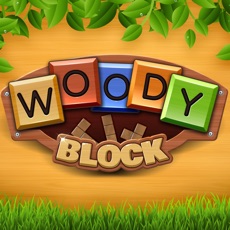 Activities of Woody Wood Block Puzzle