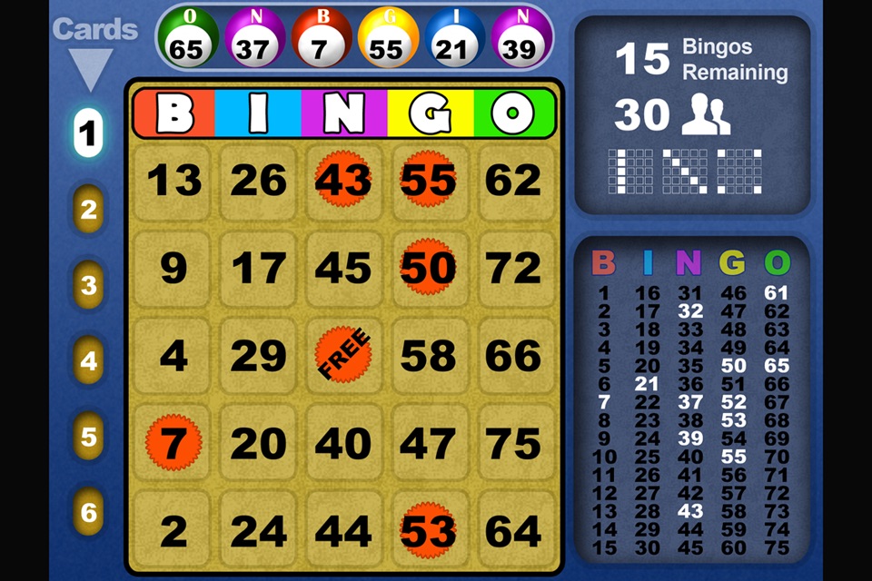 Bingo Fun Blast HD Lucky cards screenshot 3