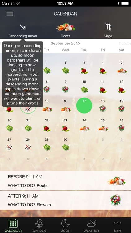Moon & Garden