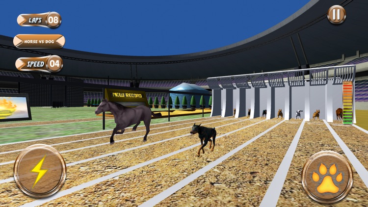 Greyhound Racing Tournament 2