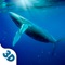 Icon Big Whale Ocean Life Sim 3D