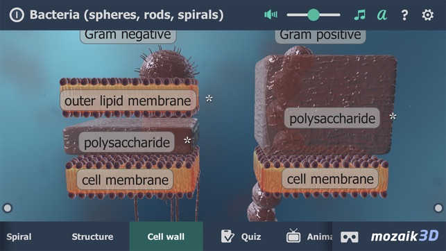 Bacteria 3D(圖3)-速報App