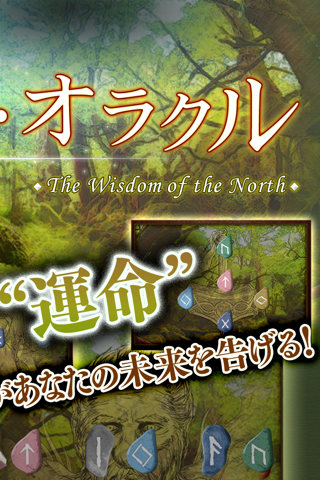 鏡リュウジ古代北欧ルーン・オラクル占い - náhled