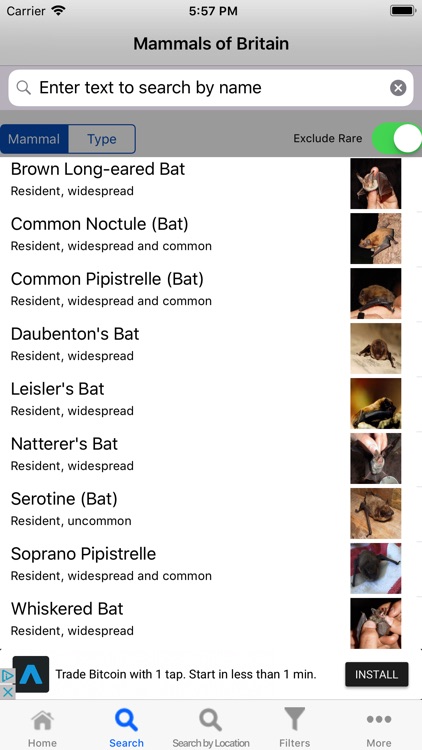 Mammals Of Britain