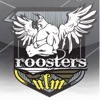 Roosters Ulm