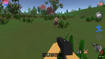 Chicken Dinner Survival Zone Screenshots