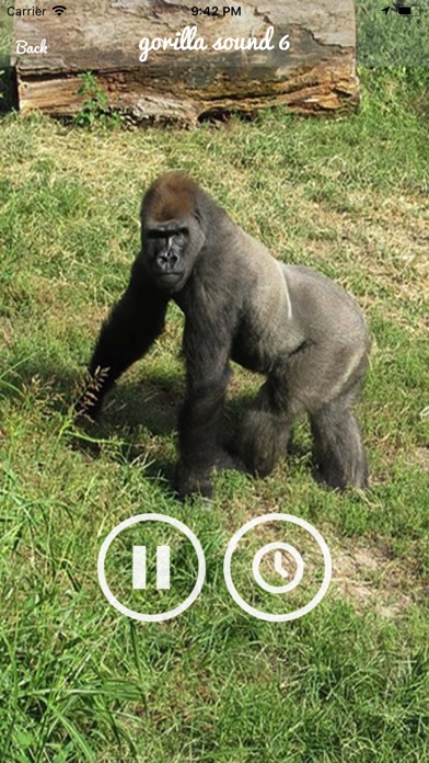 Gorilla Monkey Sounds screenshot 3
