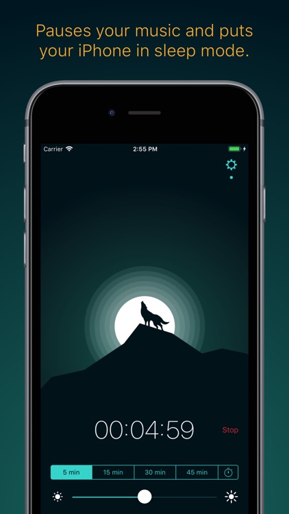 Snoosic - Music Sleep Timer screenshot-0