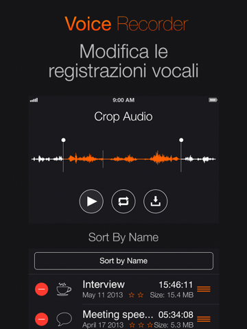 Voice Recorder+ Audio record screenshot 2