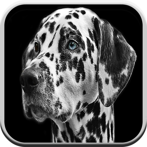 Puppy Dog Game: Barking Sounds iOS App