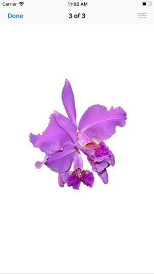 Orchid Stickers(圖5)-速報App