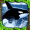 App Icon for Orca Simulator App in Denmark IOS App Store