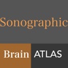 Sonographic Brain Atlas