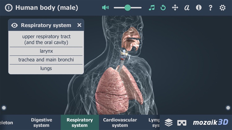 Human body (male) 3D screenshot-4