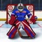 TRY OUR HOCKEY ACADEMY 2 GAME