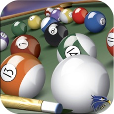 Activities of Play Pool Snooker - 8Ball