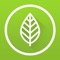 Tons of tasty clean and green vegetarian recipes at your fingertip