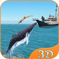 Requin Attaque Évolution 3D pour PC
