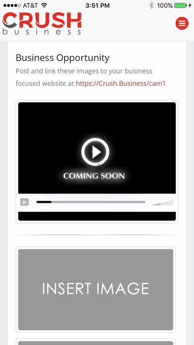 Crush Business screenshot 3