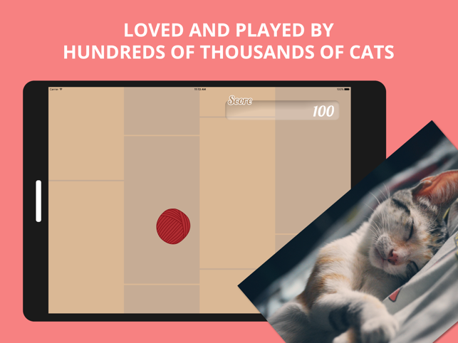 Best Game for Cats, game for IOS