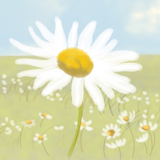 Daisypath Icon