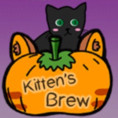 Activities of Kitten's Brew
