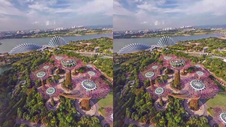 VR Gardens by the Bay