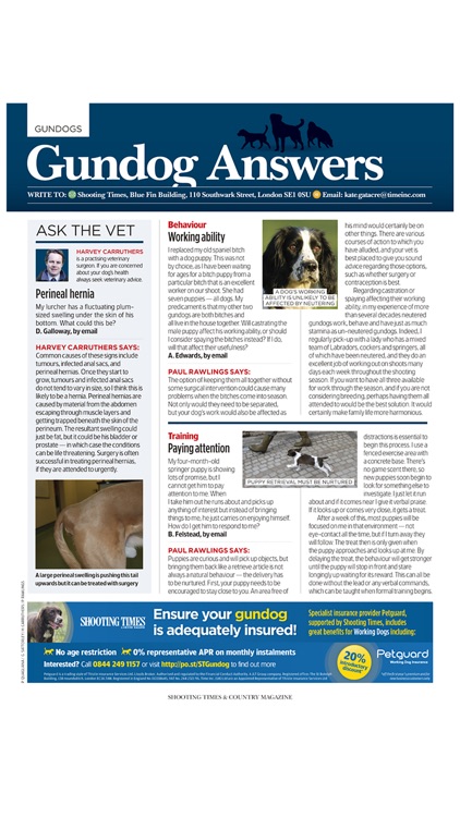 Shooting Times & Country INT