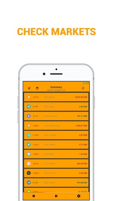 WalleteX - Wallet Overview Screenshot on iOS