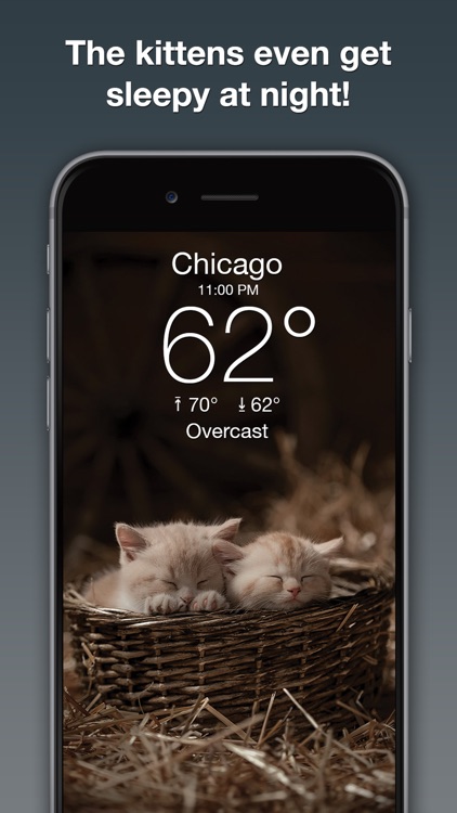 Weather Kitty: Forecast & Cats screenshot-3