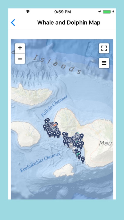 Whale and Dolphin Tracker