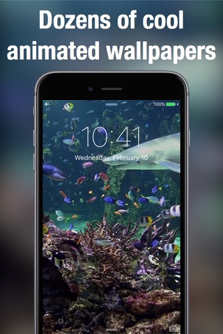 Dynamic wallpapers & themes screenshot 4